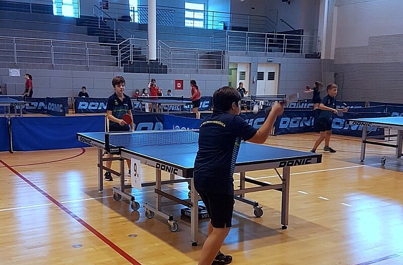 Otok Krk - otok-krk.org, Sport - Stolnotenisači STK Malinska-Dubašnica osvojili 18 medalja na otvorenom turniru PGŽ