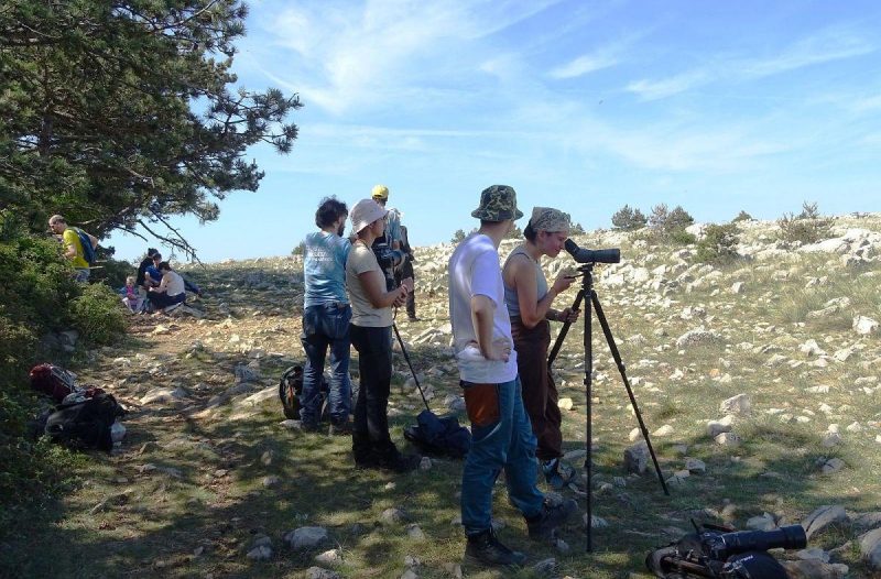 Otok Krk - otok-krk.org, Događaji - Uspješno proveden projekt „Bodulija 2026“