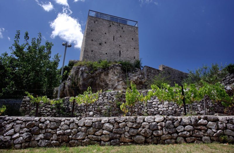 Otok Krk - otok-krk.org - Frankopanska priča Tomislava Beronića: Povelja kralja Andrije