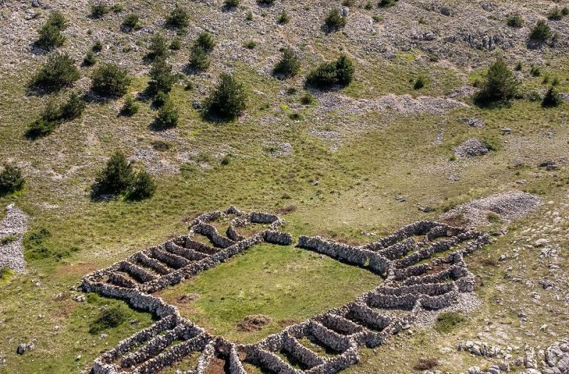 Otok Krk - otok-krk.org, Događaji - Baška: Crna ovca proslavila 20. rođendan