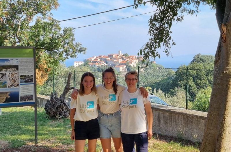 Otok Krk - otok-krk.org - Traže se volonteri za očuvanje bjeloglavih supova