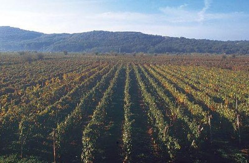Otok Krk - otok-krk.org - Stručno osposobljavanje za poljoprivrednike - poduzetništvo žena u ruralnom području