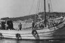 Otok Krk - otok-krk.org - Crtice iz pomorske prošlosti: Krčka jedra